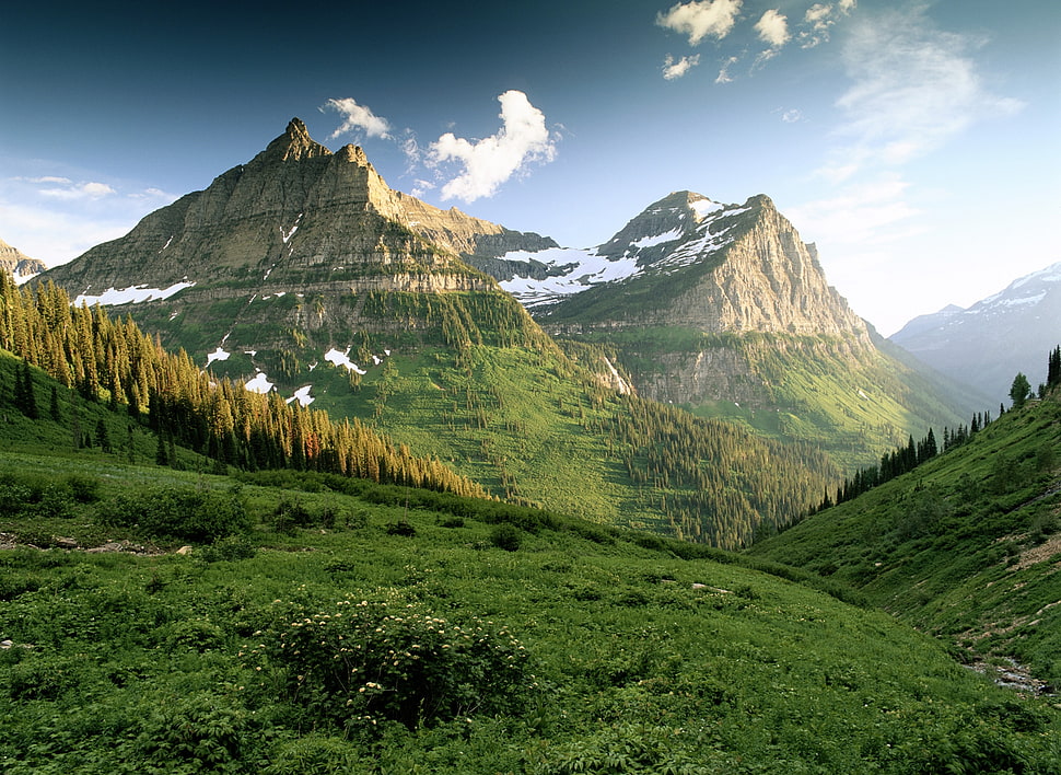 tree covered mountain range under the clear skies HD wallpaper
