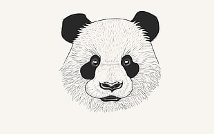 Panda headbust illustration
