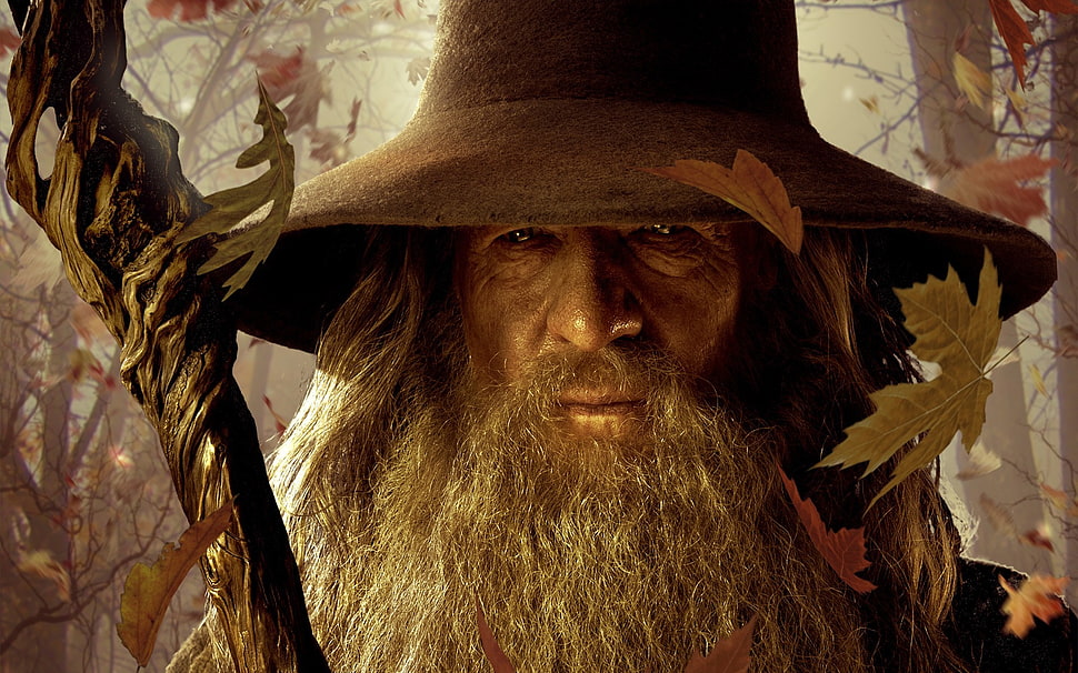 Gandalf wallpaper, Gandalf, The Lord of the Rings, Ian McKellen, The Hobbit HD wallpaper
