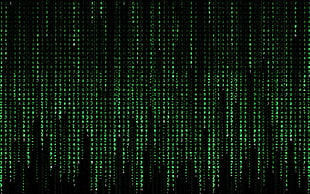 Matrix digital wallpaper, The Matrix HD wallpaper