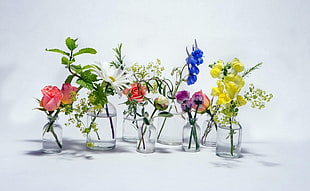 assorted colored petaled flowers in clear glass vases