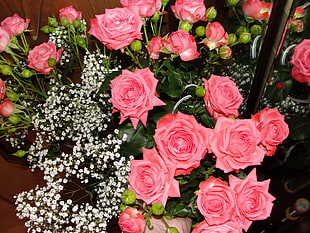 closeup photo of pink petaled flower arrangement