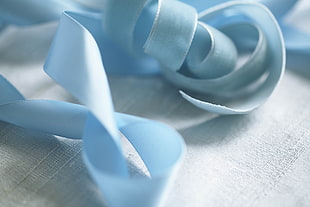 close up photo of blue ribbon HD wallpaper