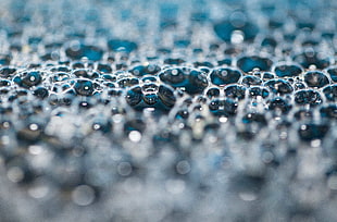 macro shot photo of water droplets HD wallpaper