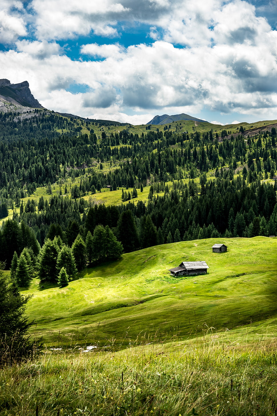 landscape photography of barn surrounded by green grass near tall trees HD wallpaper