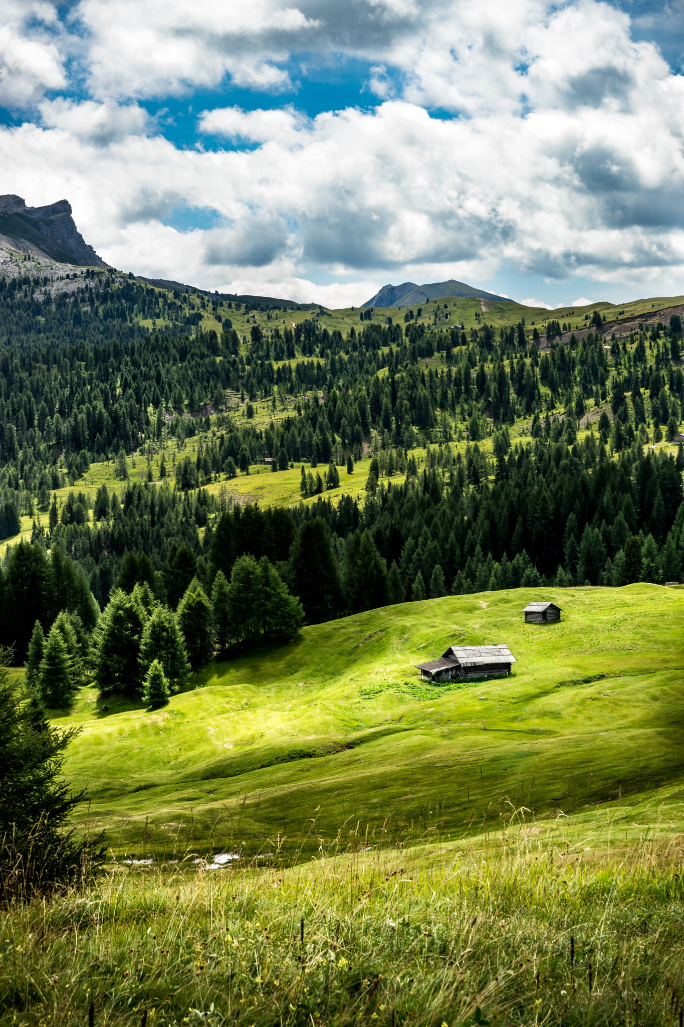 landscape photography of barn surrounded by green grass near tall trees