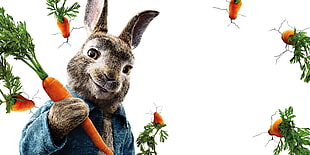 gray rabbit, Peter Rabbit, 5k HD wallpaper