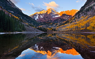 yellow and black covered mountain under body of water during daytime