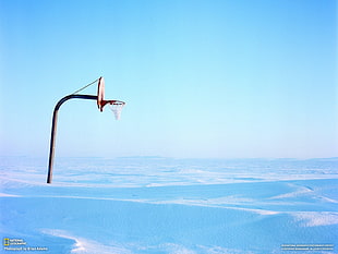 brown basketball system, winter, landscape HD wallpaper